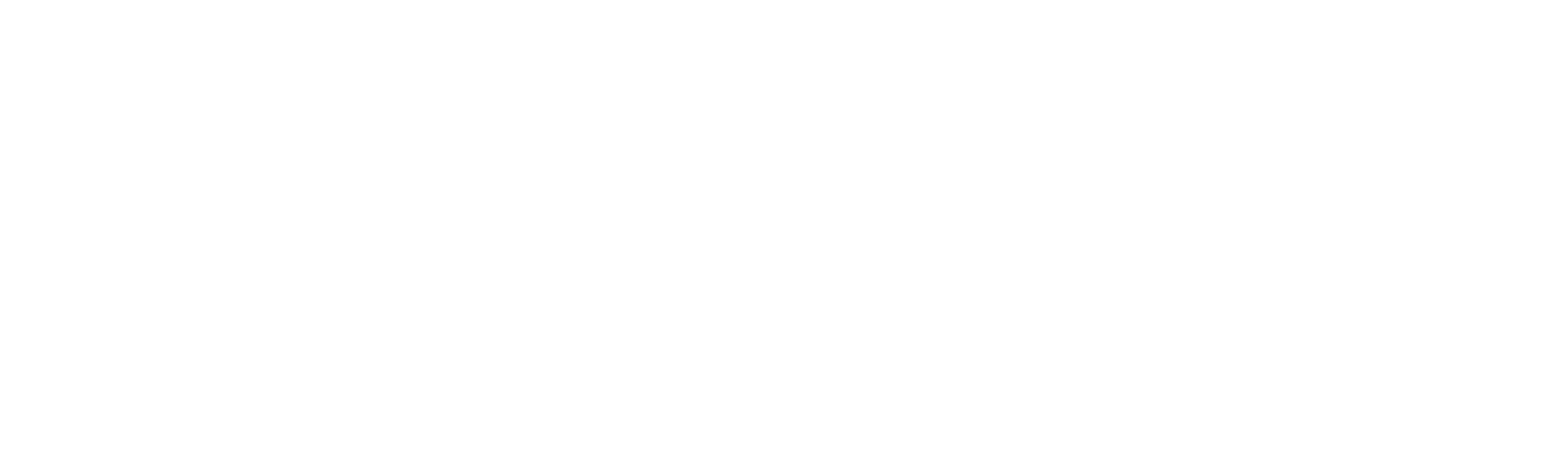 BSSM Español
